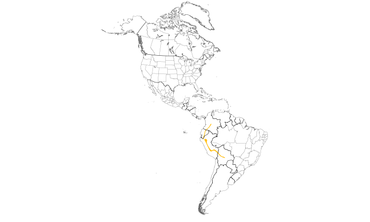 Range Map (Americas): Bronze-green Euphonia