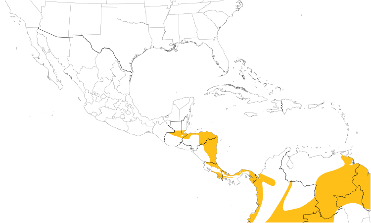Range Map (Central): White-vented Euphonia