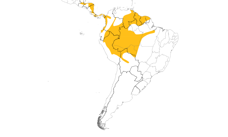 Range Map (South): White-vented Euphonia