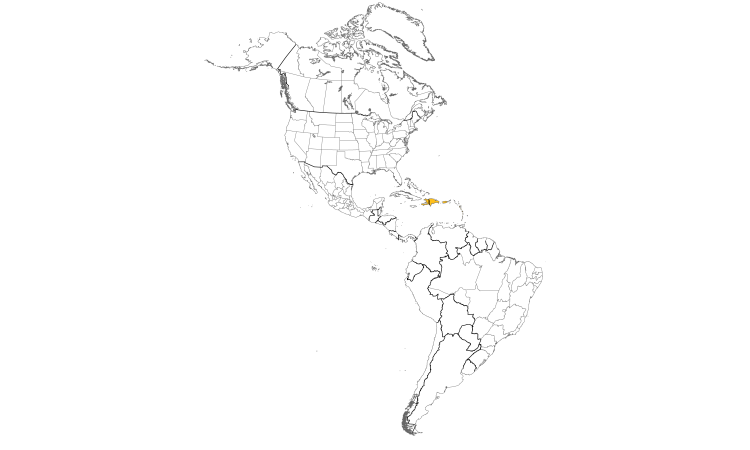 Range Map (Americas): Antillean Euphonia