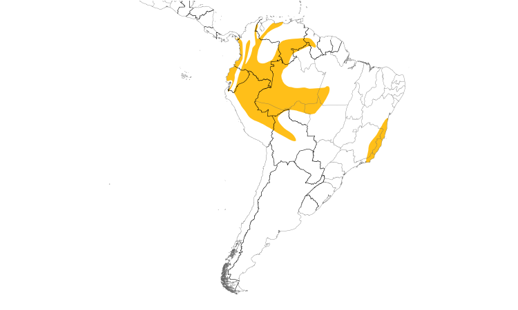 Range Map (South): Orange-bellied Euphonia