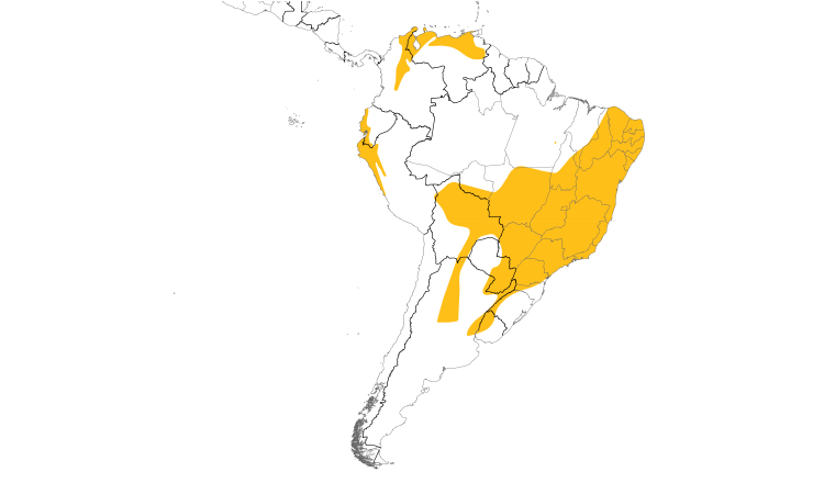 Range Map (South): Tawny-crowned Pygmy-Tyrant