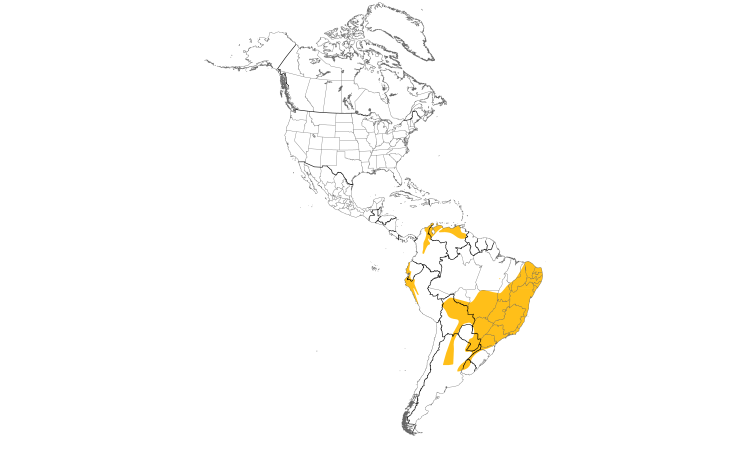Range Map (Americas): Tawny-crowned Pygmy-Tyrant