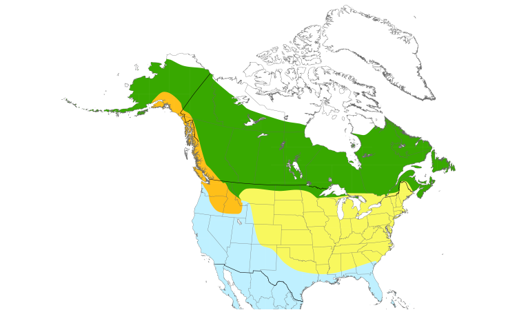 Range Map (North): Merlin