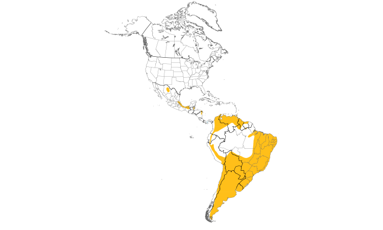 Range Map (Americas): Aplomado Falcon