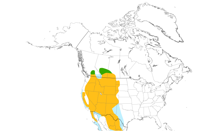 Range Map (North): Prairie Falcon