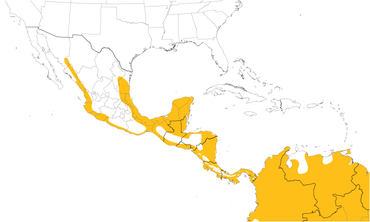 Range Map (Central): Bat Falcon