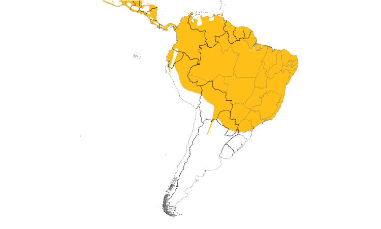 Range Map (South): Bat Falcon