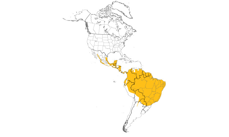 Range Map (Americas): Bat Falcon
