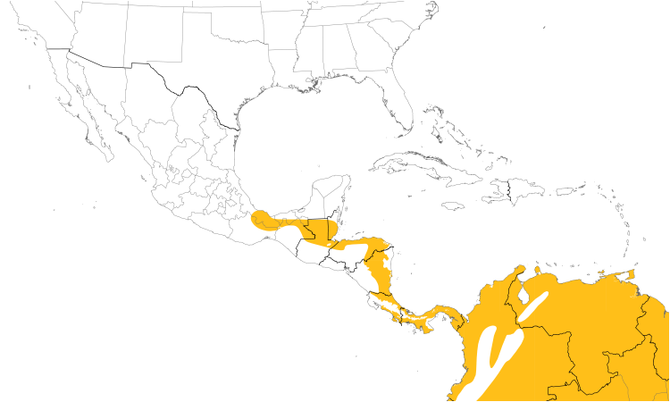 Range Map (Central): White-necked Jacobin