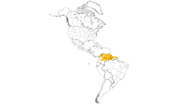 Range Map (Americas): Pied Water-Tyrant