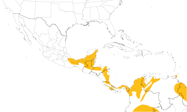 Range Map (Central): Black-faced Antthrush