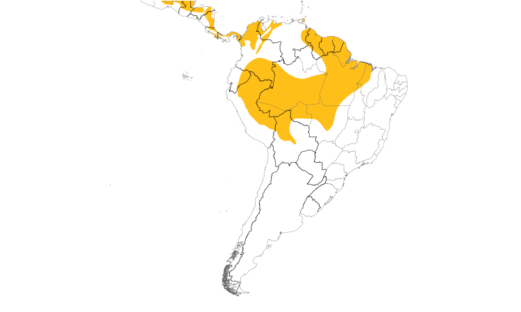 Range Map (South): Black-faced Antthrush