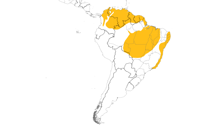 Range Map (South): White-fringed Antwren