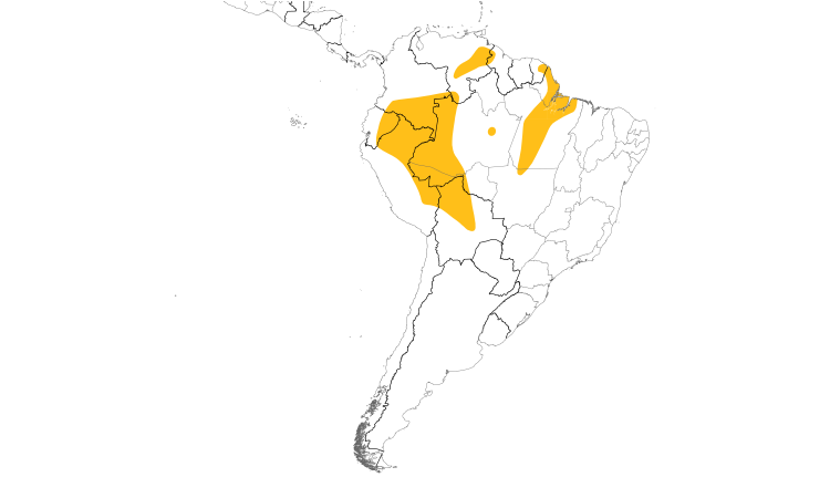 Range Map (South): Dusky-billed Parrotlet