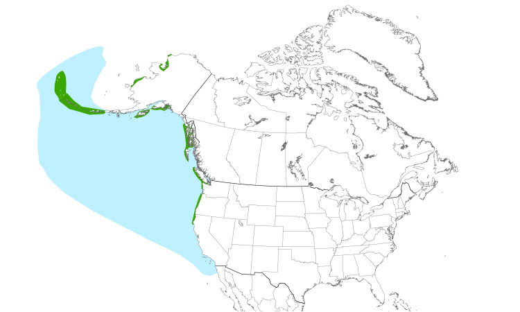 Range Map (North): Tufted Puffin