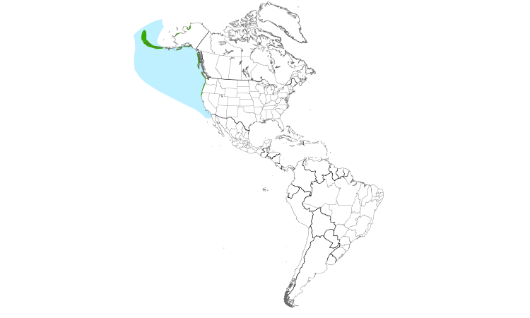 Range Map (Americas): Tufted Puffin