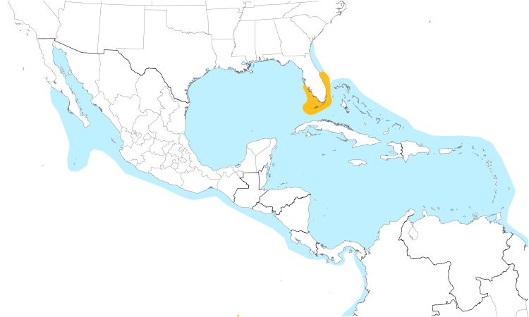 Range Map (Central): Magnificent Frigatebird