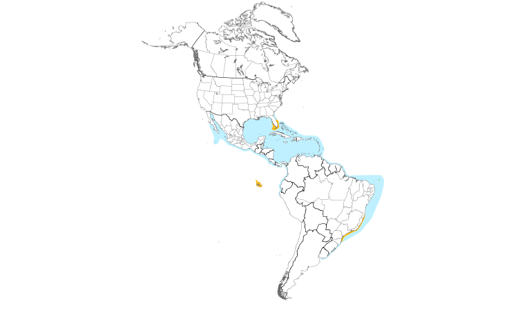 Range Map (Americas): Magnificent Frigatebird