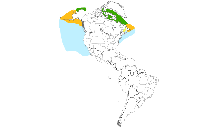 Range Map (Americas): Northern Fulmar