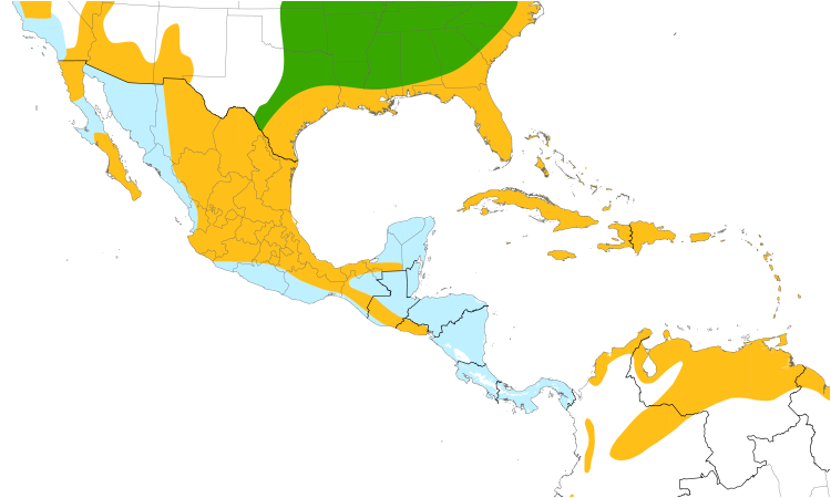 Range Map (Central): Common Gallinule