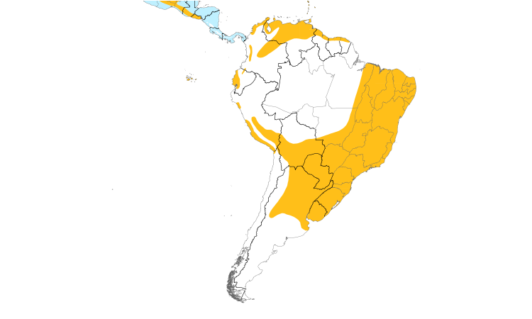 Range Map (South): Common Gallinule