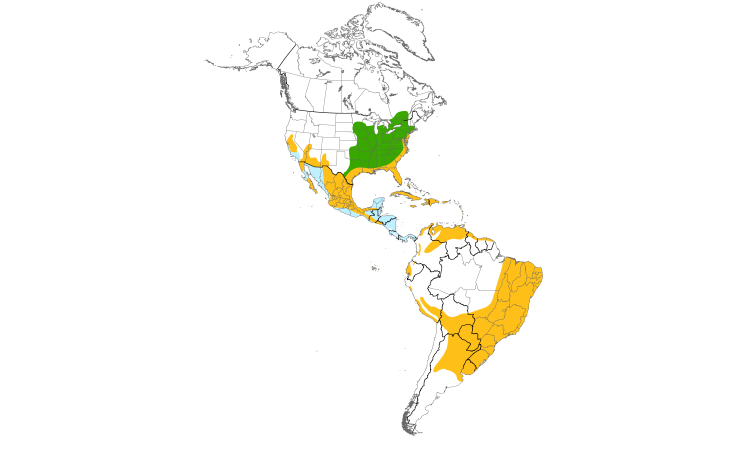 Range Map (Americas): Common Gallinule