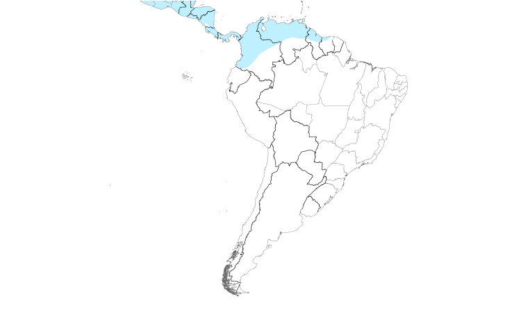 Range Map (South): Wilson's Snipe