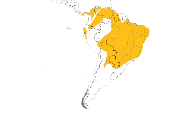 Range Map (South): Pearl Kite
