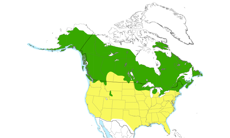 Range Map (North): Common Loon