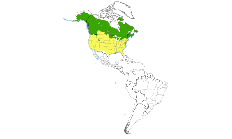 Range Map (Americas): Common Loon