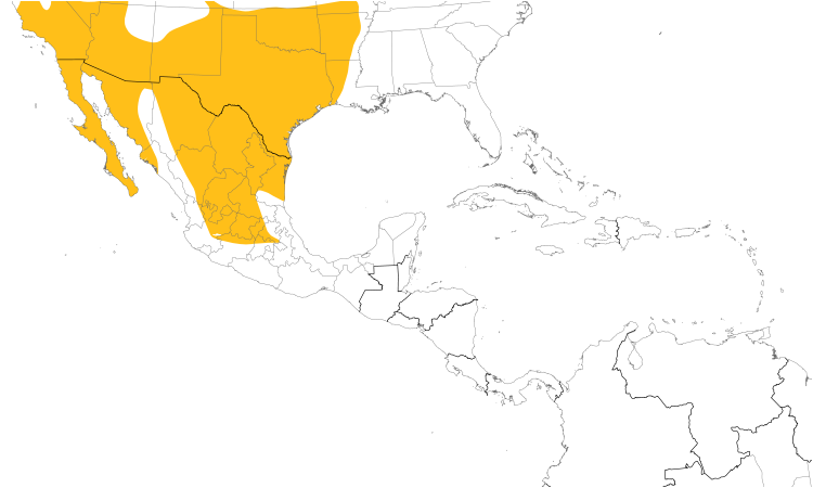 Range Map (Central): Greater Roadrunner