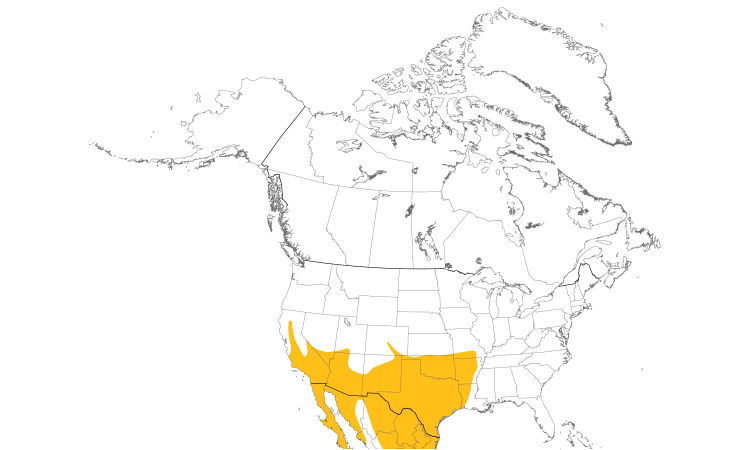 Range Map (North): Greater Roadrunner