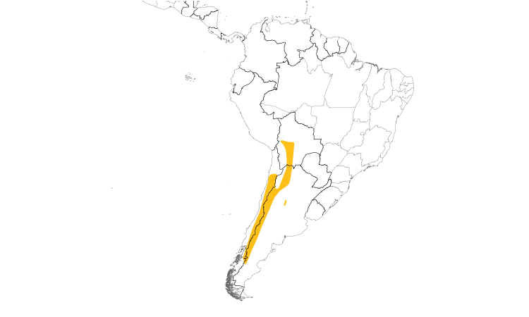 Range Map (South): Rufous-banded Miner