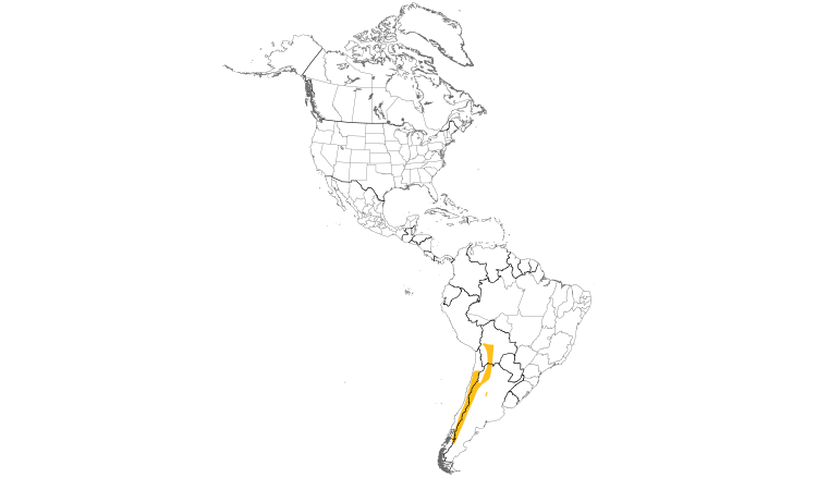 Range Map (Americas): Rufous-banded Miner