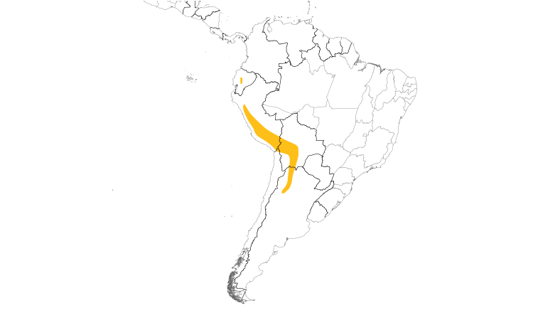 Range Map (South): Slender-billed Miner
