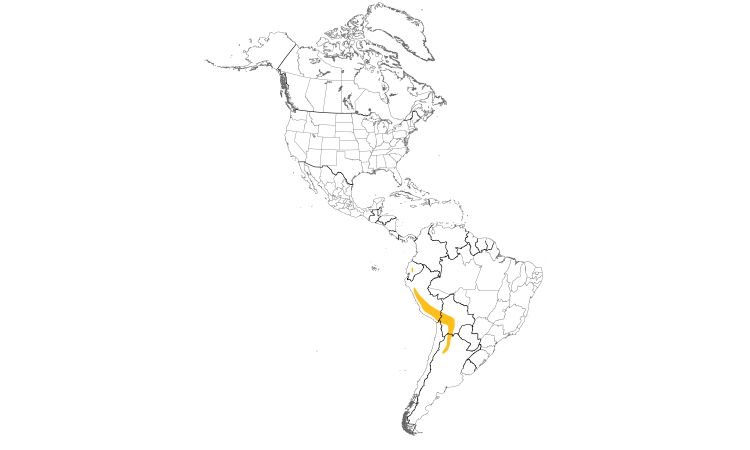 Range Map (Americas): Slender-billed Miner