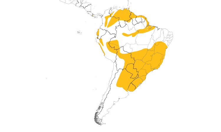 Range Map (South): Masked Yellowthroat