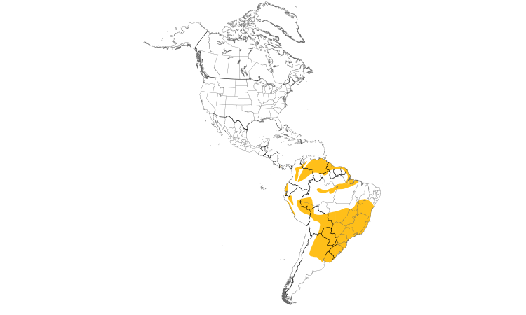 Range Map (Americas): Masked Yellowthroat