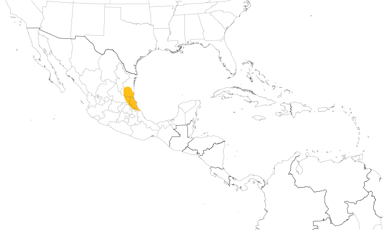 Range Map (Central): Altamira Yellowthroat