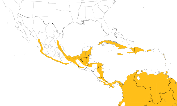 Range Map (Central): Ruddy Quail-Dove