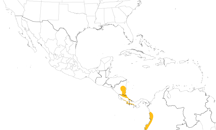 Range Map (Central): Bronzy Hermit