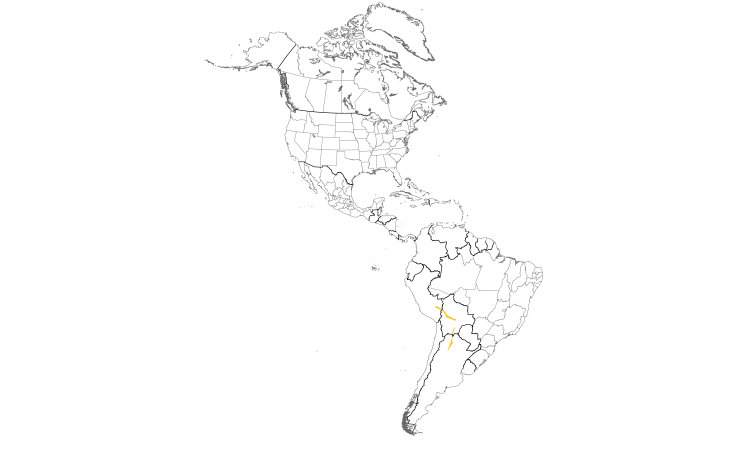 Range Map (Americas): Yungas Pygmy-Owl