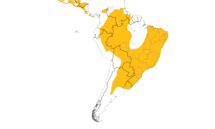 Range Map (South): Ferruginous Pygmy-Owl