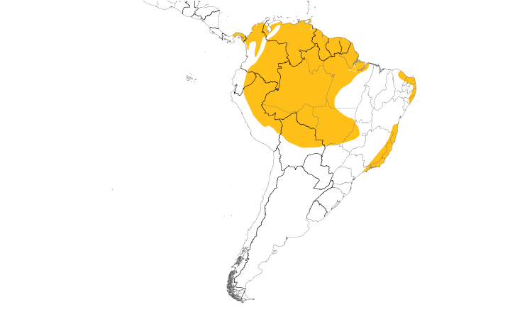 Range Map (South): Rufous-breasted Hermit