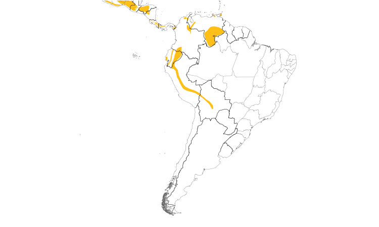 Range Map (South): Scaled Antpitta