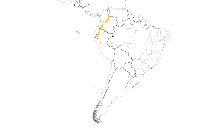 Range Map (South): Tawny Antpitta