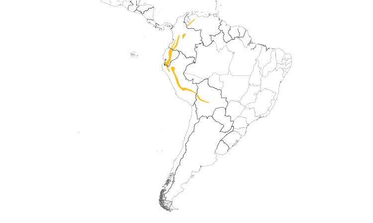 Range Map (South): Undulated Antpitta