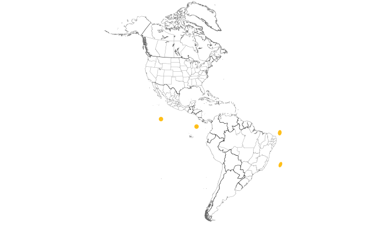 Range Map (Americas): White Tern