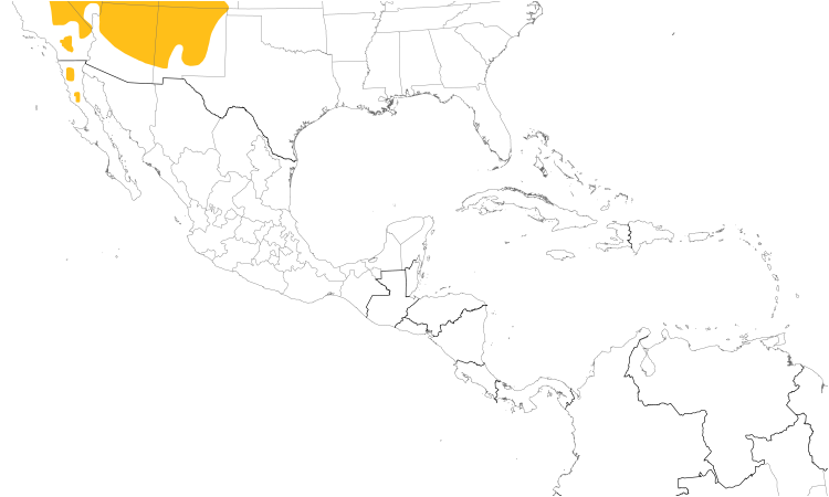 Range Map (Central): Pinyon Jay